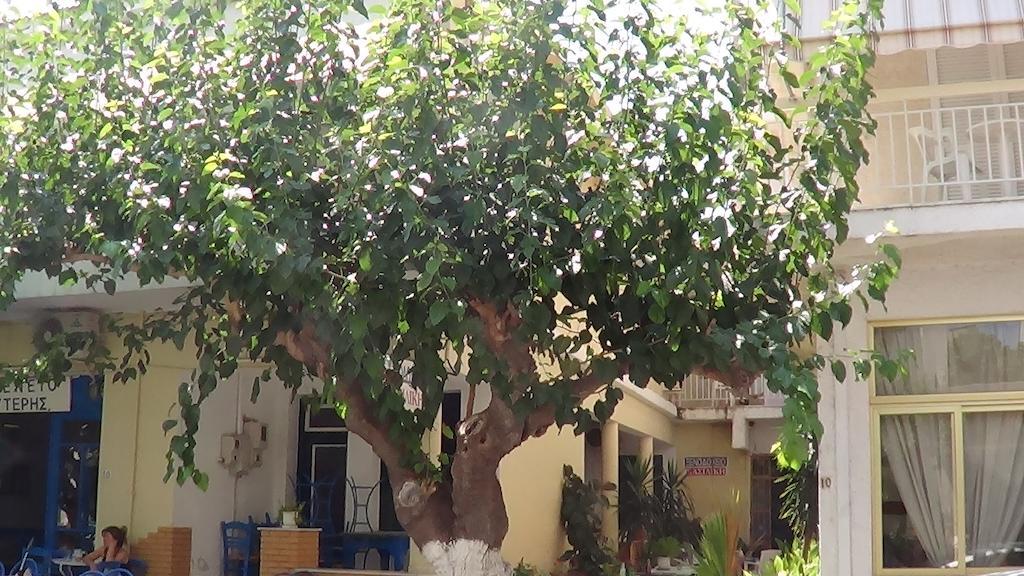 Mouroukis Rooms Loutra Edipsou  Exterior foto